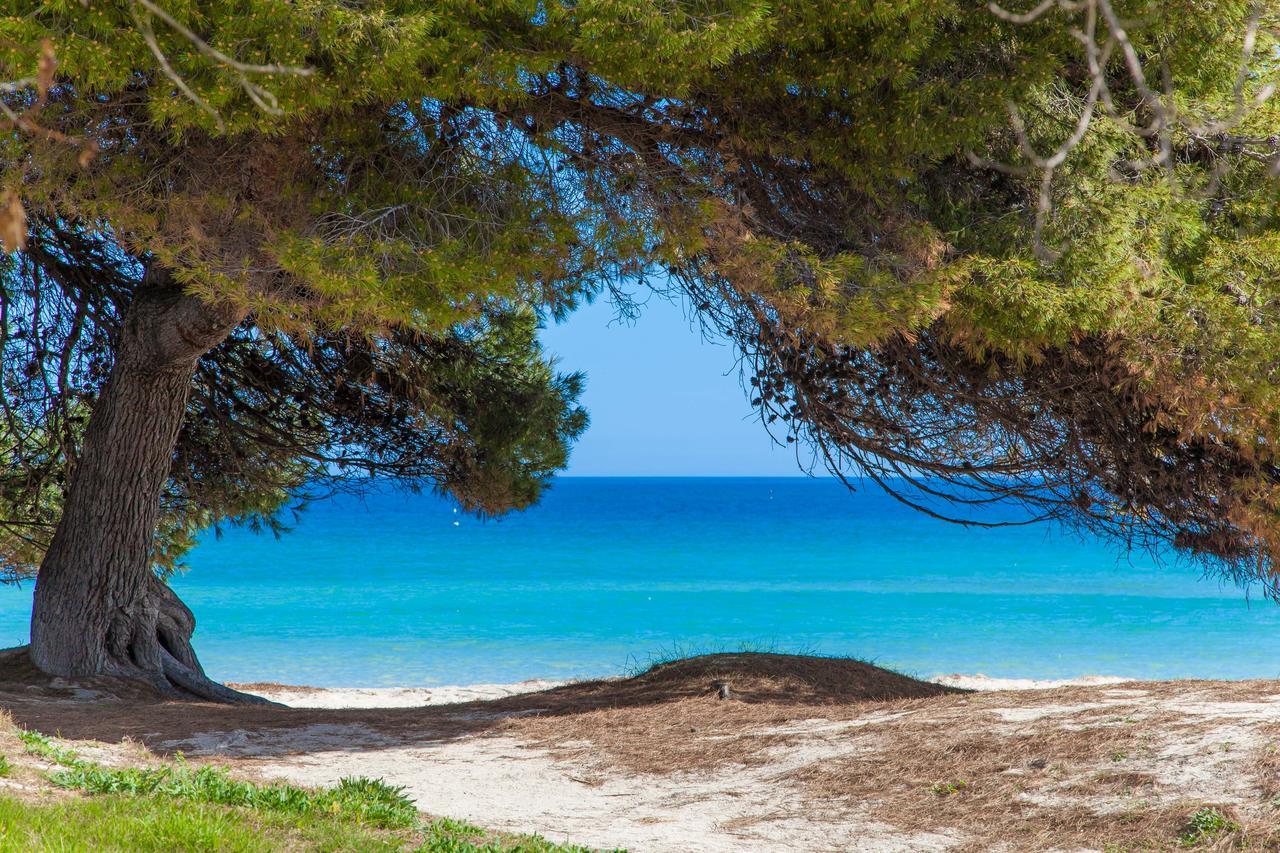 Vila Son Valenti Sa Pobla Exteriér fotografie