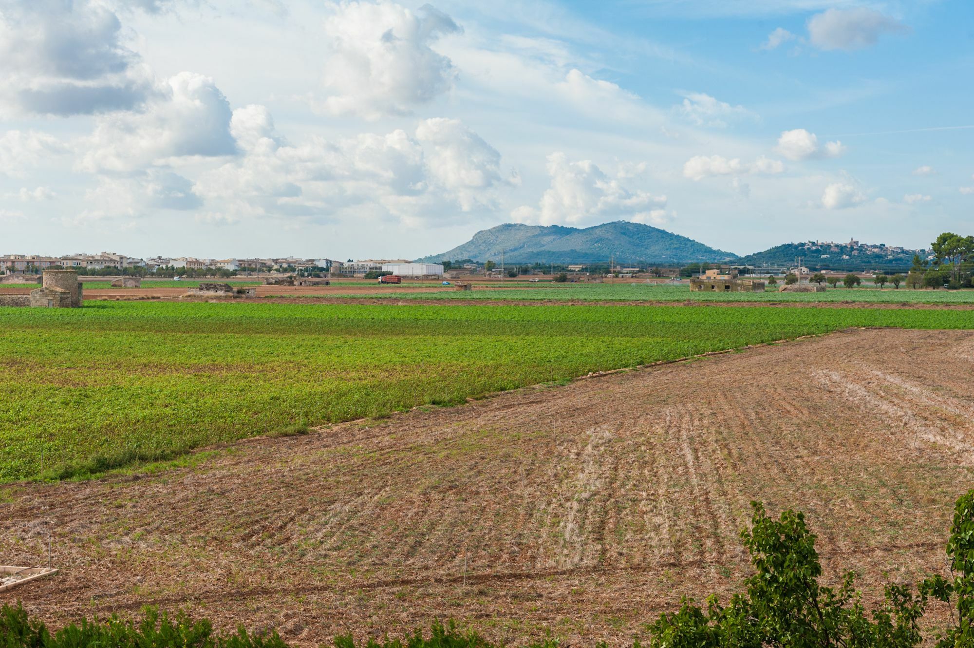 Vila Son Valenti Sa Pobla Exteriér fotografie